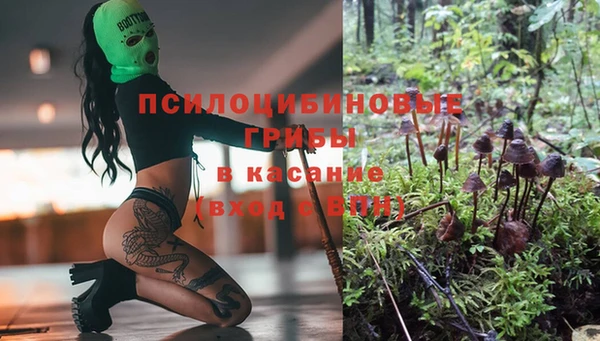 эйфоретик Белоозёрский