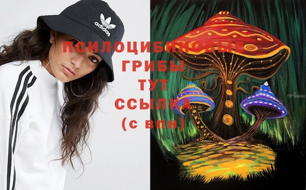 a pvp Белокуриха