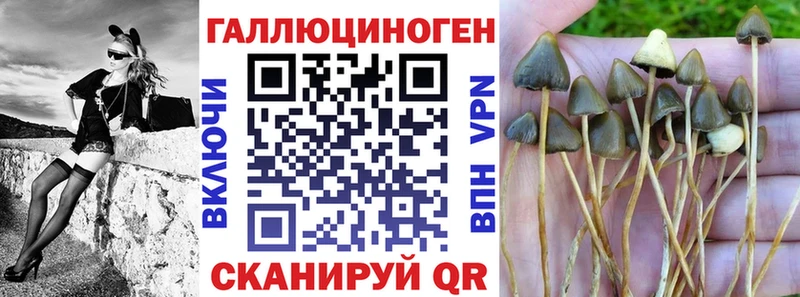 KRAKEN ссылки купить Рязань Галлюциногенные грибы мухоморы