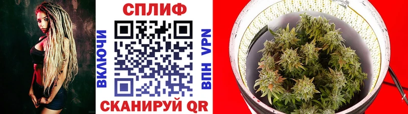 купить закладку Рязань Шишки марихуана ГИДРОПОН
